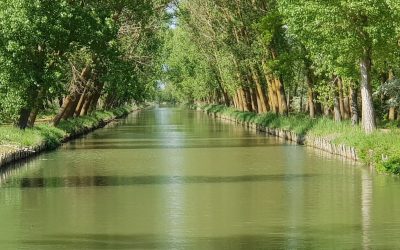 Canal de Castilla, Medina de Rioseco y Villa del Libro, Urueña