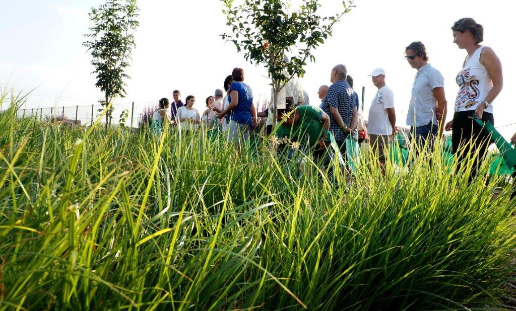 VEN Y DESCUBRE LA HUERTA CON LOS CINCO SENTIDOS