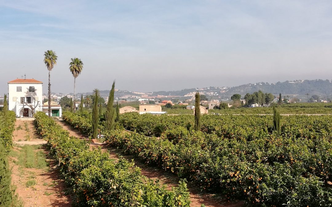 ESCAPADA A VALENCIA EN APARTAMENTO DE PLAYA Y EXCURSIONES DE AGROTURISMO