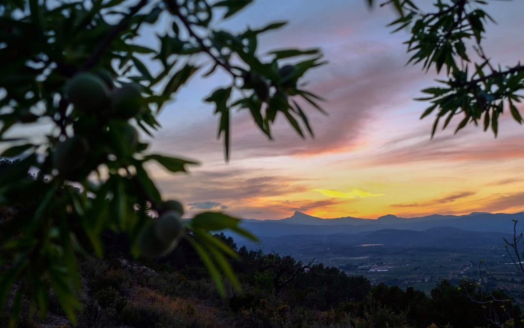 Las fuentes de Atzeneta del Maestrat en btt.