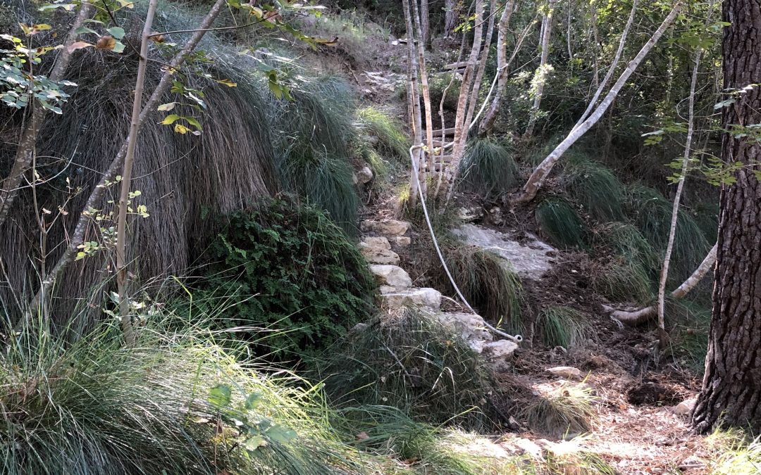 Ruta del Arte Rupestre de Bicorp