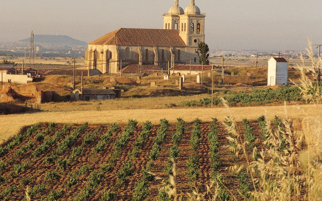 Ciudad de Valladolid y Rutas del vino, Ribera, Cigales, Rueda y Toro
