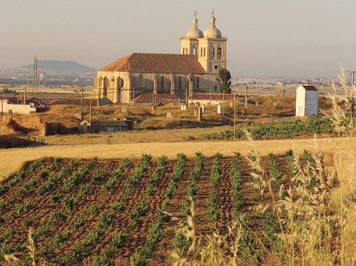 Ciudad de Valladolid y Rutas del vino, Ribera, Cigales, Rueda y Toro