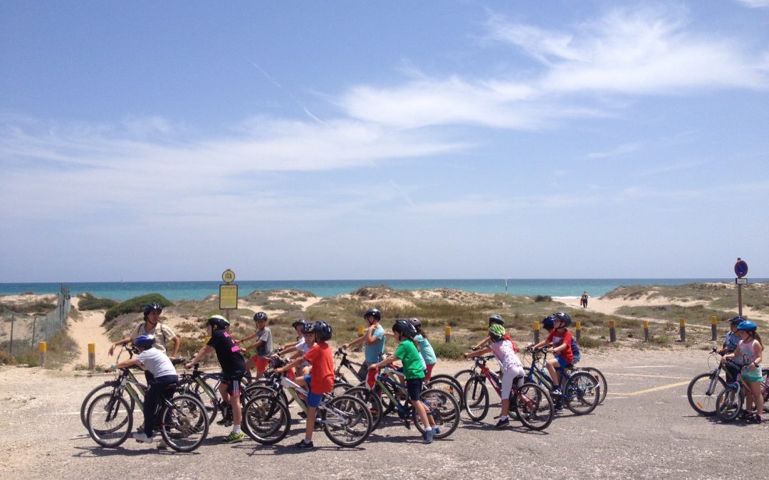RUTA EN BICI POR L’ALBUFERA
