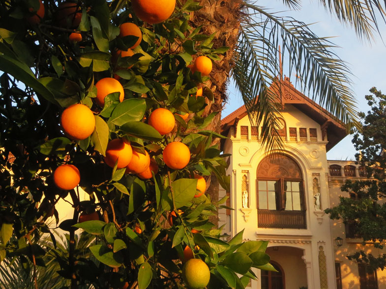 EXPERIENCIAS  EN CULLERA Y EN LA RIBERA