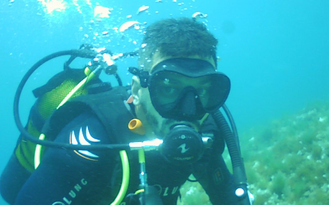 BUCEO