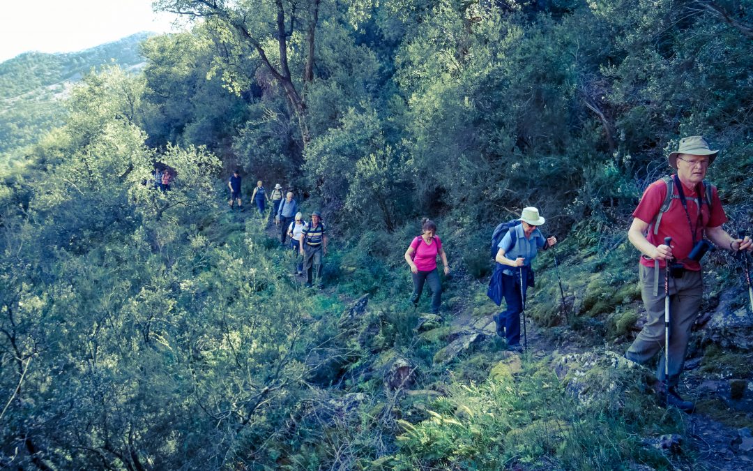 TRAVESÍA EN LA AUTÉNTICA SELVA MEDITERRÁNEA.