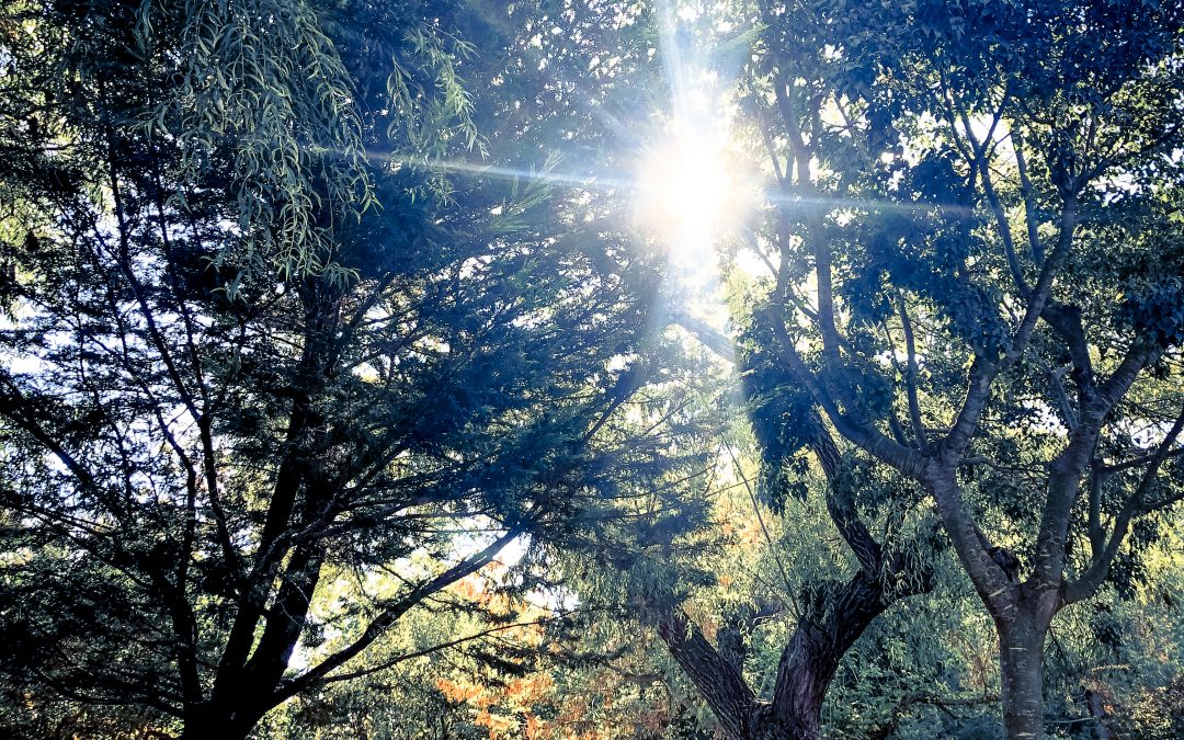 FIN DE SEMANA FAMILIAR. Jérica, natural y  monumental