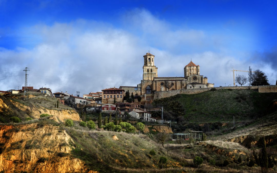 Entre Vinos y Viñedos