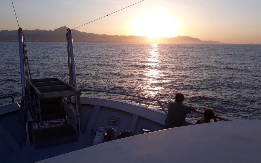 PUESTA DE SOL GANDIA